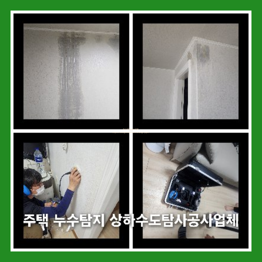 아파트횡주관세척싼곳