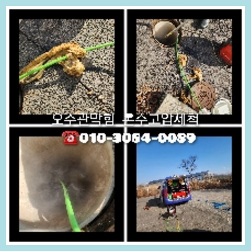 양천구 변기에서뽀글뽀글