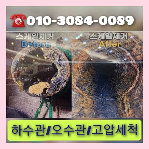 은평구 <a href=